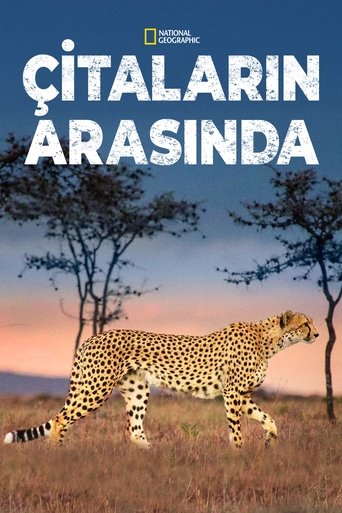 Çitaların Arasında