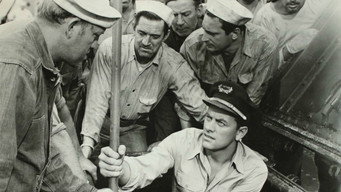 Cargo to Capetown (1950)