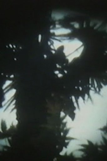 映像書簡5 映像書簡5