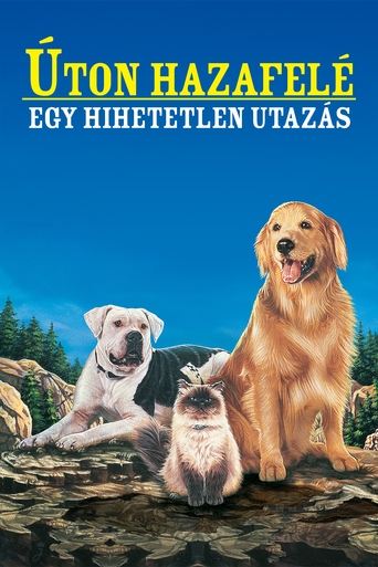 Úton Hazafelé - Egy Hihetetlen Utazás