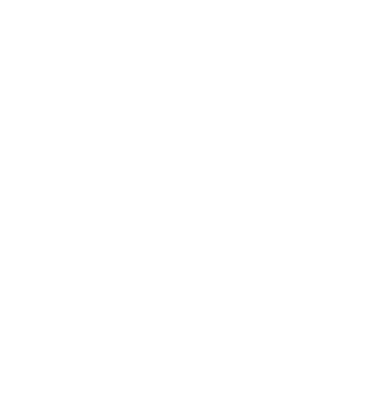 Do Not Expect Too Much from the End of the World logo
