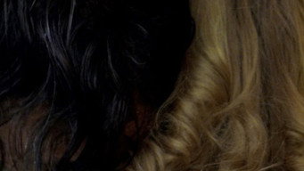 #31 Коричневий кролик
