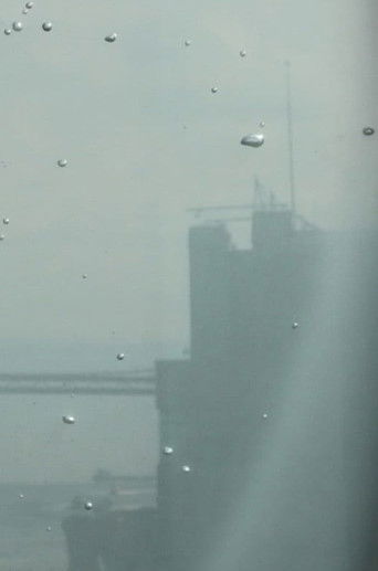 My Favorite Plankton poster