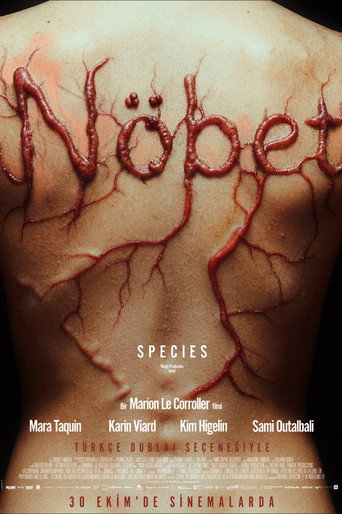 Nöbet