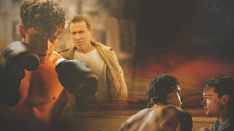 #7 Punch