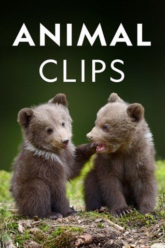 Animal Clips: Season 1