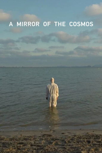 A Mirror of the Cosmos