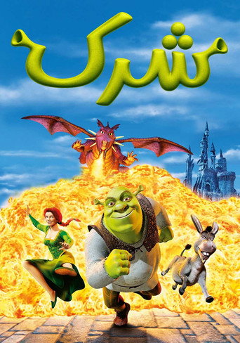 Poster 31