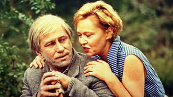 Kamien na kamieniu (1995)