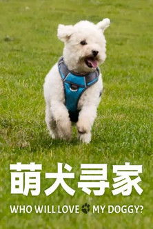 萌犬寻家 poster