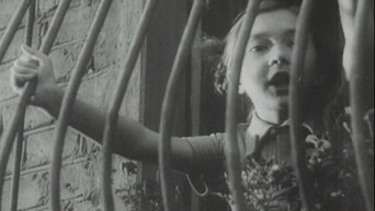 Look! The Sky! (1962)