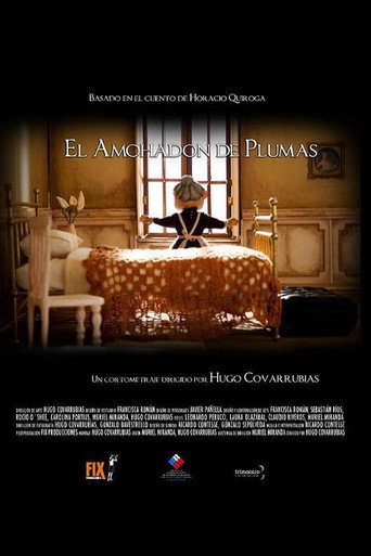 El almohad&oacute;n de plumas (2007)