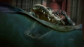 #6 The Flood