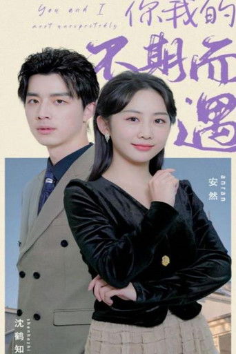 你我的不期而遇 poster