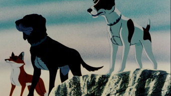#7 The Plague Dogs