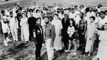 #17 School Daze