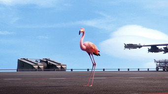 Still 3 from Code Rose