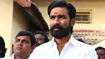 #25 Kodi