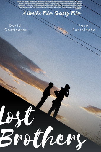 Lost Brothers (2026年)のポスター画像 - FindKey