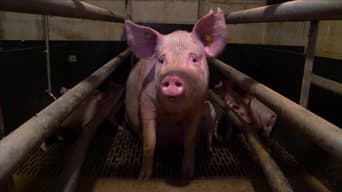 Pignorant (2024)