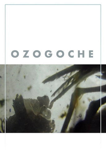 Ozogoche (2023)