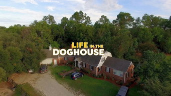 Galeria 5 - Life in the Doghouse