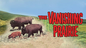 #6 The Vanishing Prairie