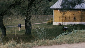 #59 Соляріс