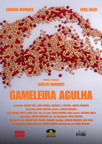 Gameleira Agulha (2026)