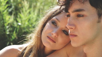 Everlasting media image