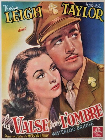 La Valse dans l'ombre - affiche officiel