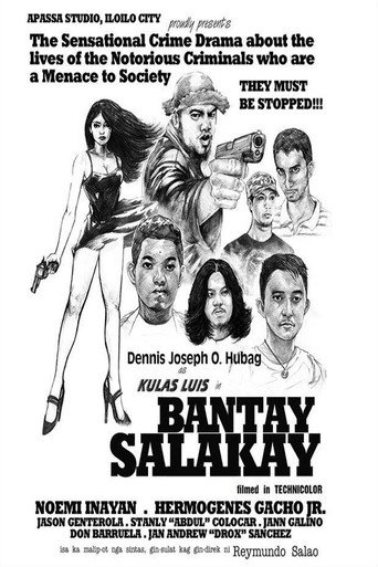 Bantay Salakay (2014)