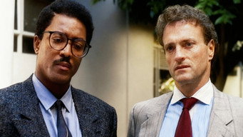 Knots Landing T11E13