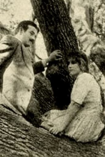 Poster of The Girl of the Grove