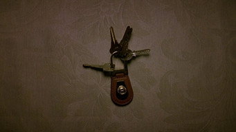 #10 Ярди