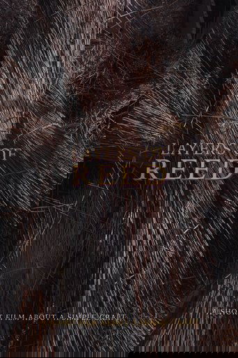 Layers of Reed