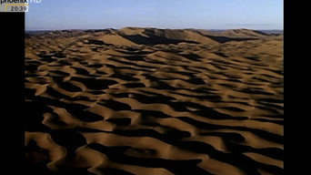 The March (1990)