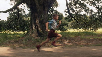 Forrest Gump backdrop 7