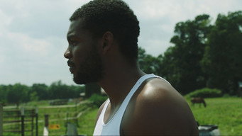 Young King (2024)