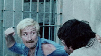 A Special Cop in Action (1976)
