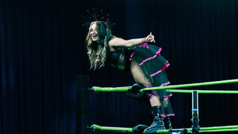 การแสดง