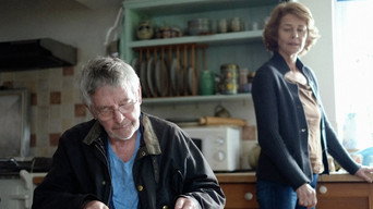 45 років (2015)