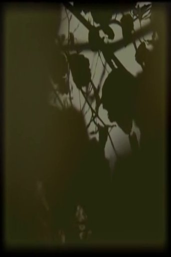 B#O 000001