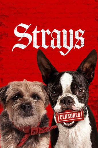 Poster of Strays