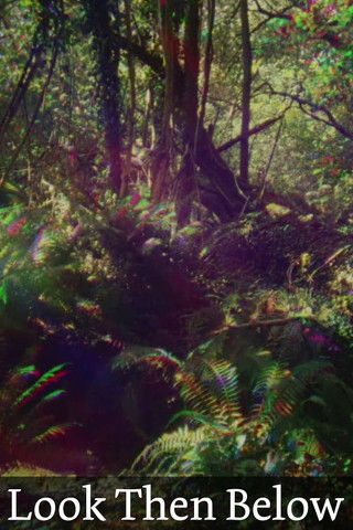 Look Then Below (2019)