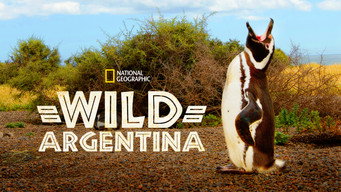 #8 Wild Argentina