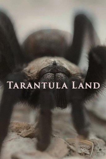 Tarantula Land poster