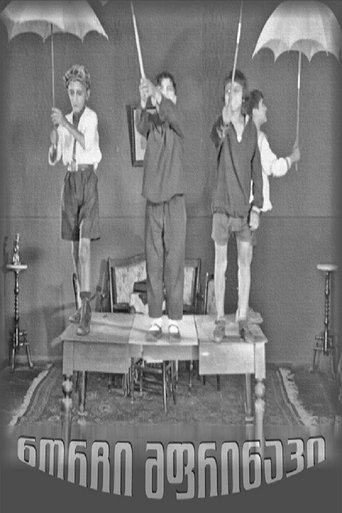 Gogi - The Young Pilot (1928)