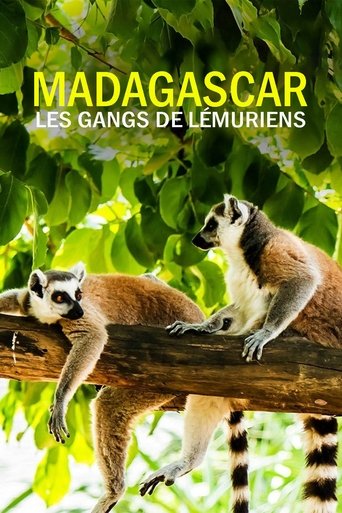 Gangs of Lemur Island: Season 1