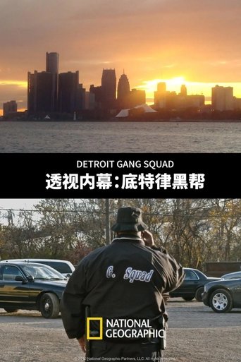 Detroit Gang Squad poster